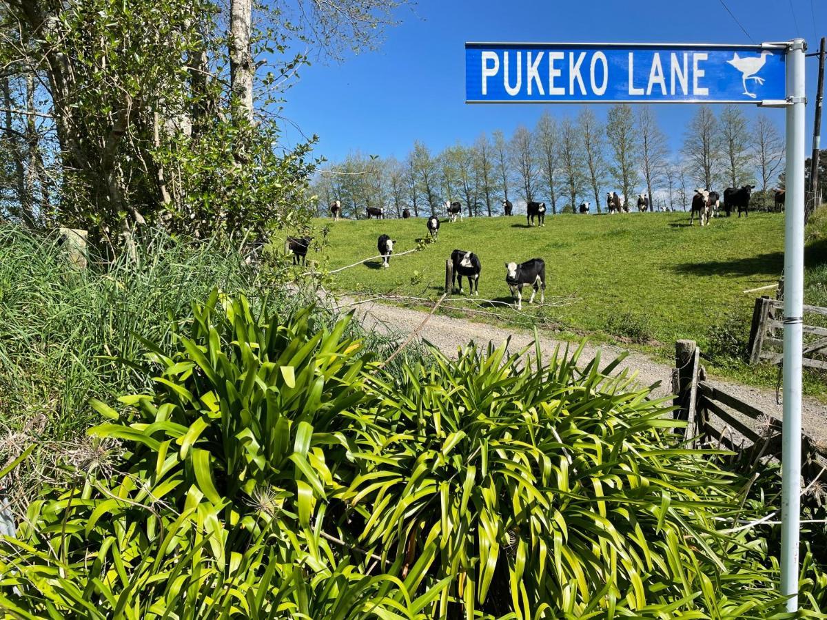 Апартаменти Pukeko Lane Тауранга Екстер'єр фото